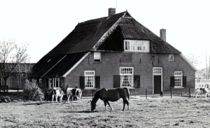 F08 Boerderij het Hammink, Delden, 1966